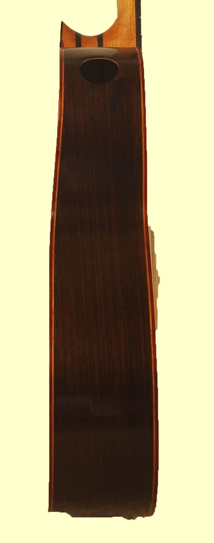 thompson21 side
